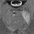 IRON LUNG "SEXLESS // NO SEX" LP <b>READ FIRST</B>